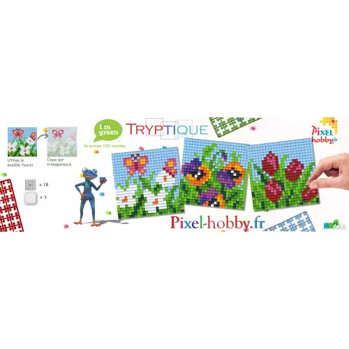 pixelhobby Triptyque Papillon et fleurs