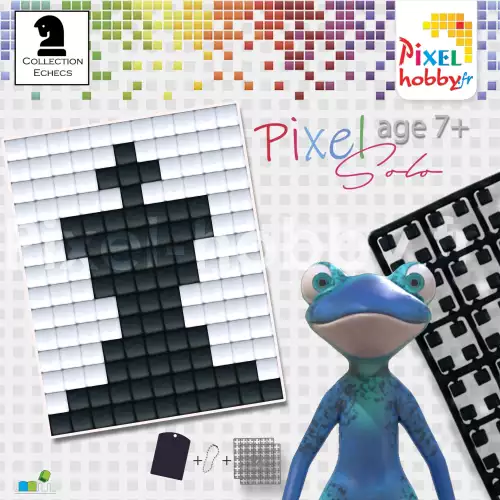 pixelhobby Roi Noir- Collection Echecs