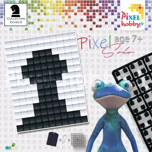 pixelhobby Pion Noir- Collection Echecs