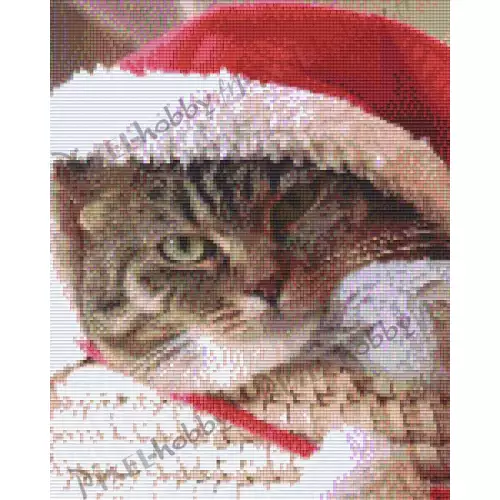 pixelhobby Chat de Noël