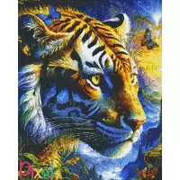 pixelhobby Collection Asie - Tigre Yin