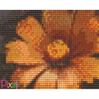 pixelhobby Collection La belle Afrique - Lionne 