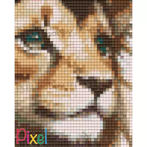 pixelhobby Collection La belle Afrique - Lion