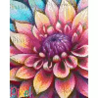 pixelhobby Collection Florale - Akita