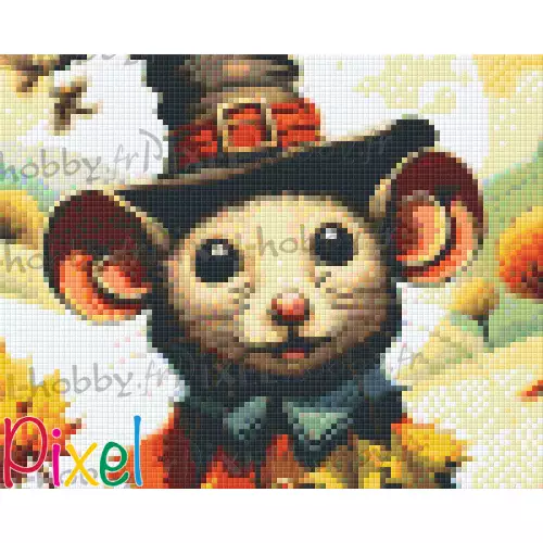 pixelhobby Collection Couleur Citrouille - Au ras des champs
