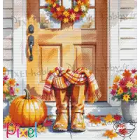 pixelhobby Collection Couleur Citrouille - Télétravail