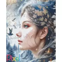 pixelhobby Collection HoHoHo - Hier