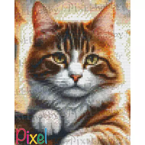 pixelhobby Collection HoHoHo - Mémoires de Chat