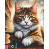 pixelhobby Collection HoHoHo - Mémoires d'un chat