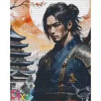 pixelhobby Collection Asie - Hanzo