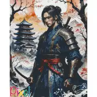 pixelhobby Collection Asie - Hanzo