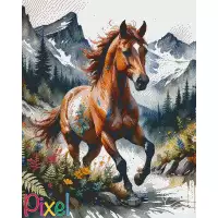 pixelhobby Collection Amériques - Libre