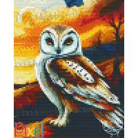 pixelhobby Collection Coup de Patte - Dans la nuit noire