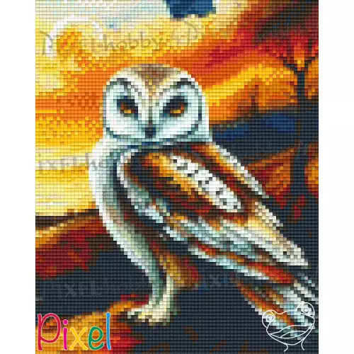 pixelhobby Collection Coup de Patte - Dans la nuit noire