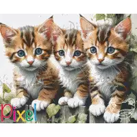 pixelhobby Collection Coup de Patte - Nos jours d'amour