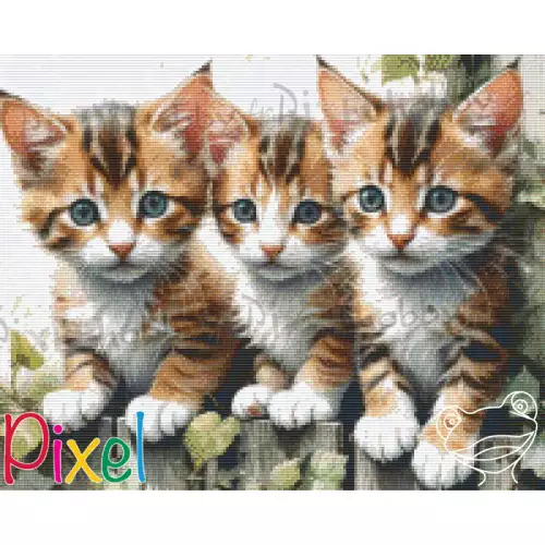 pixelhobby Collection Coup de Patte - Nos jours d'amour