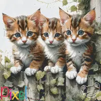 pixelhobby Collection Coup de Patte - Nos jours d'amour