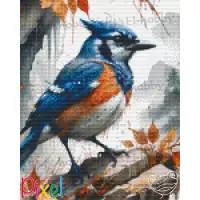 pixelhobby Collection Coup de Patte - Un paon muait