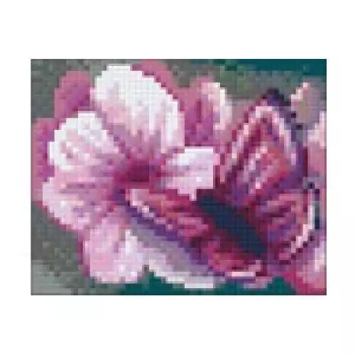 pixelhobby Kit Papillon