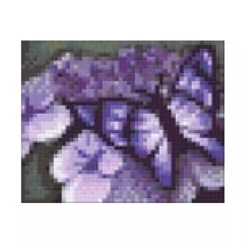 pixelhobby Kit Papillon Mauve