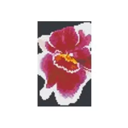 pixelhobby Kit Orchidée