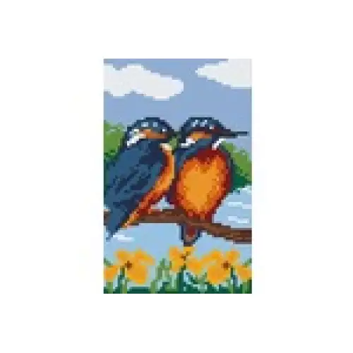 pixelhobby Kit Oiseaux