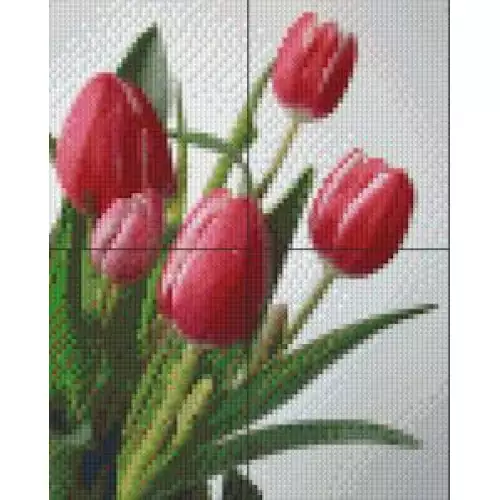 pixelhobby Kit Tulipes