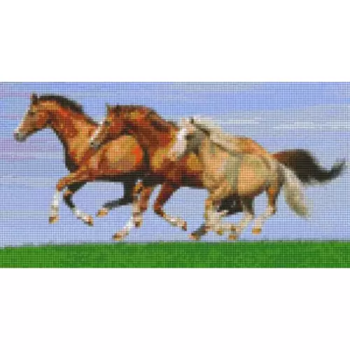 pixelhobby Kit Chevaux au galop