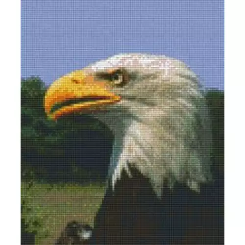 pixelhobby Kit Aigle